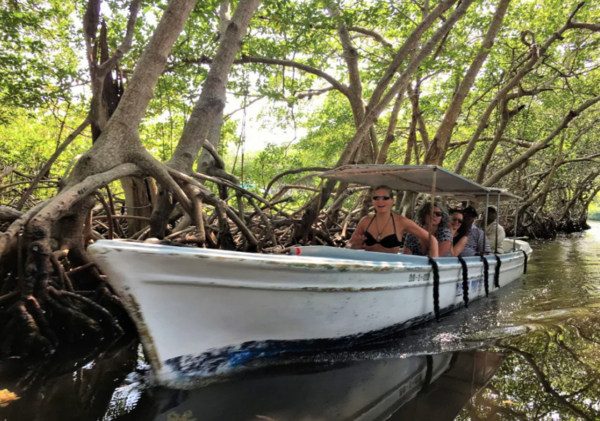 sightseeing-mangrove-tour-Roatan-Bay-Islands-big